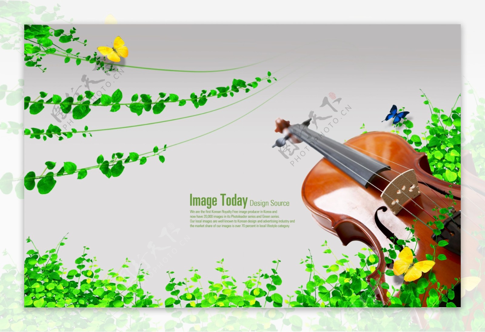绿叶和小提琴