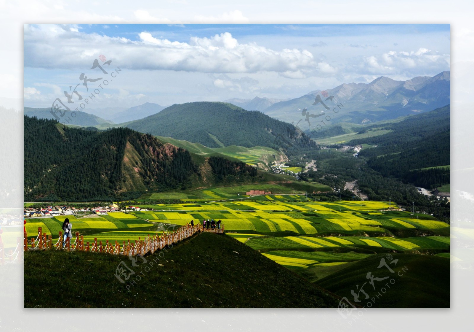 青海祁连卓尔山风景