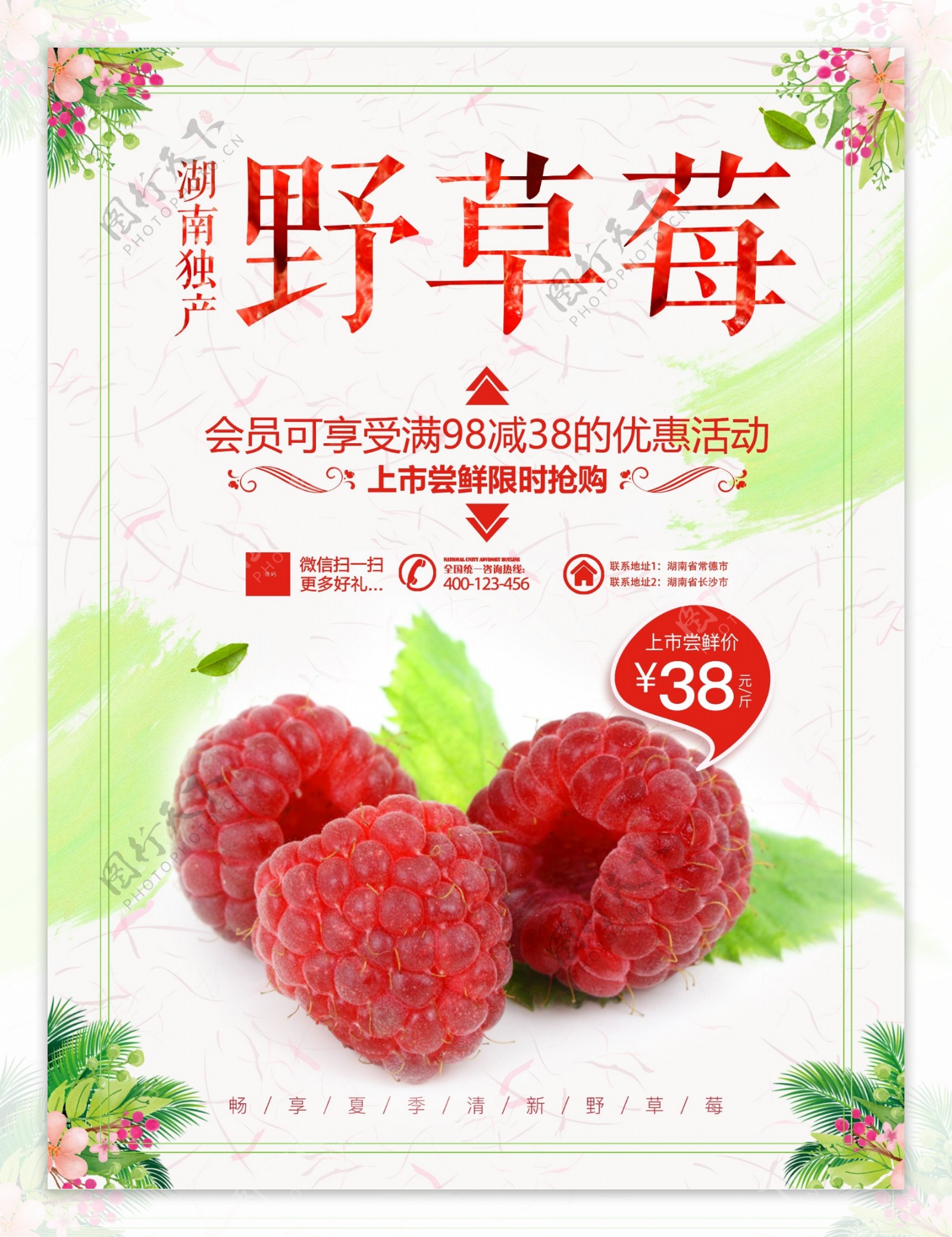 当地特产野草莓海报设计
