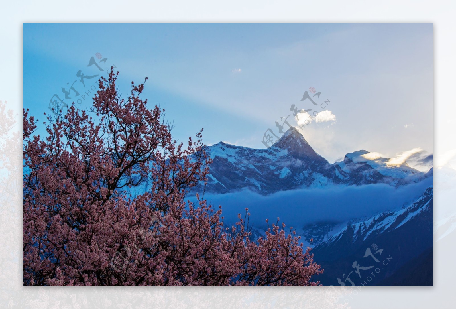 西藏林芝南迦巴瓦峰风景