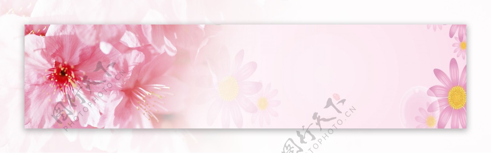 春季粉色花朵底纹背景图