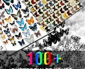 100种标本式美丽的蝴蝶Photoshop笔刷下载