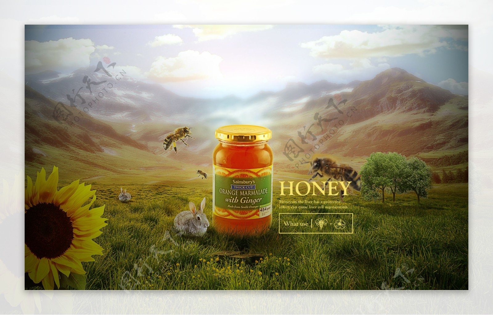 蜂蜜合成