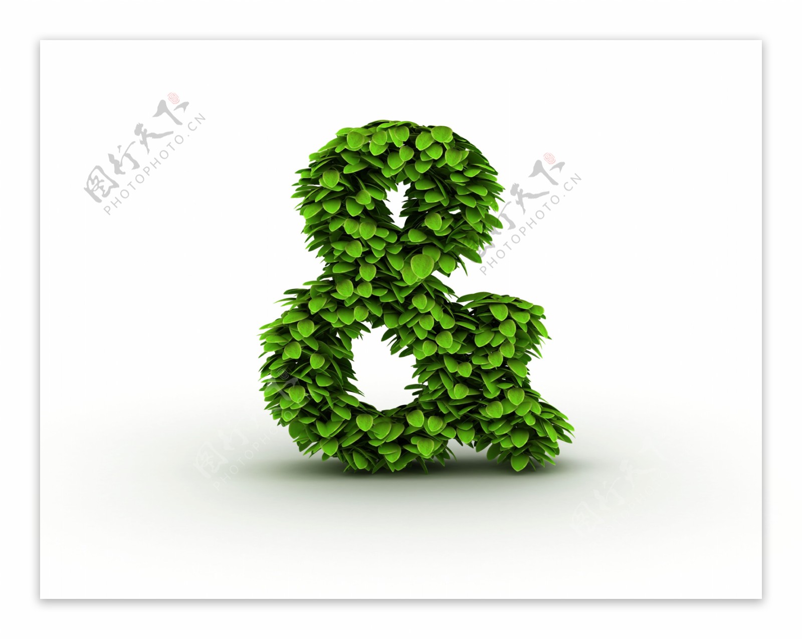 绿叶组成的货币符号