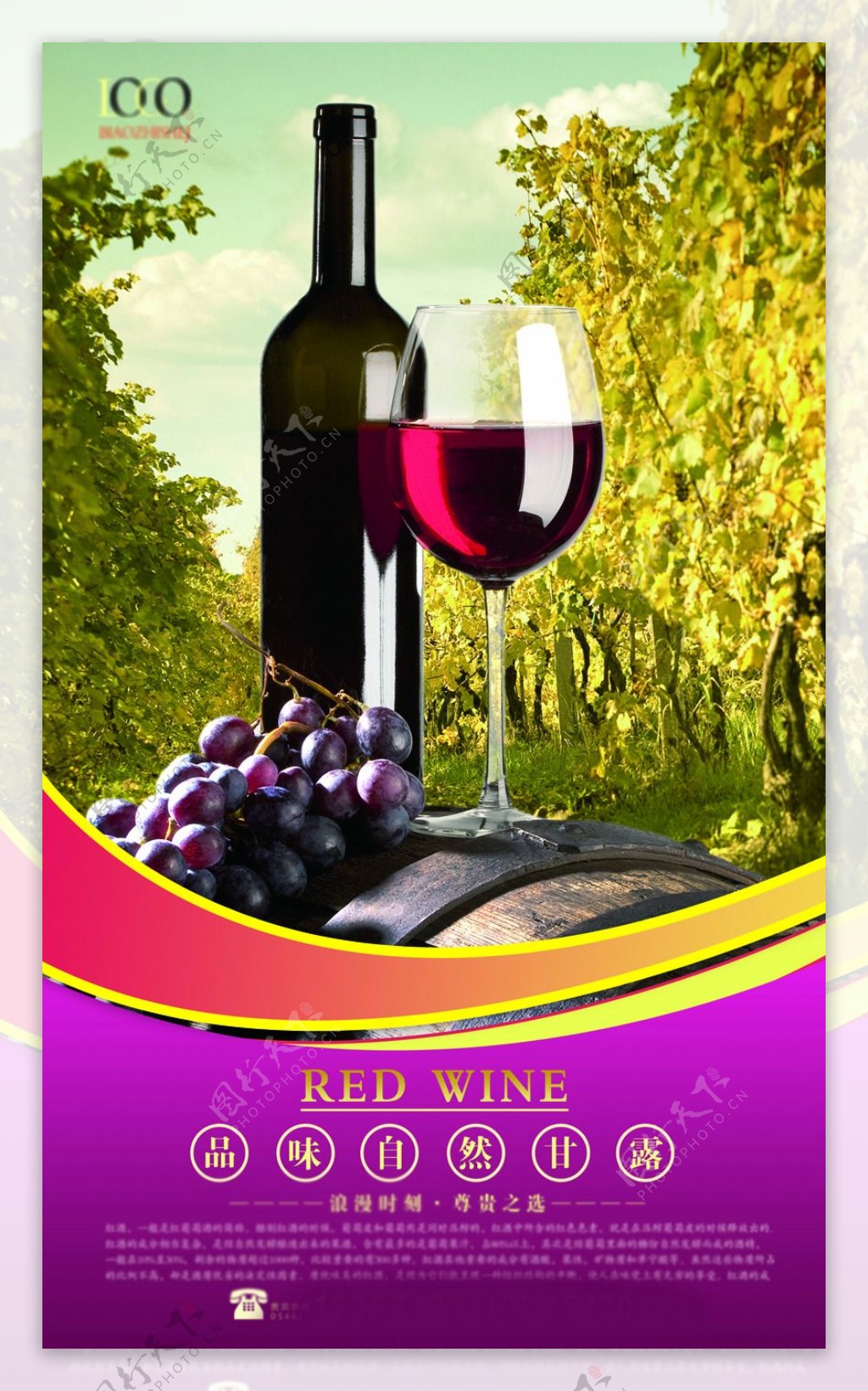 红酒葡萄庄园海报
