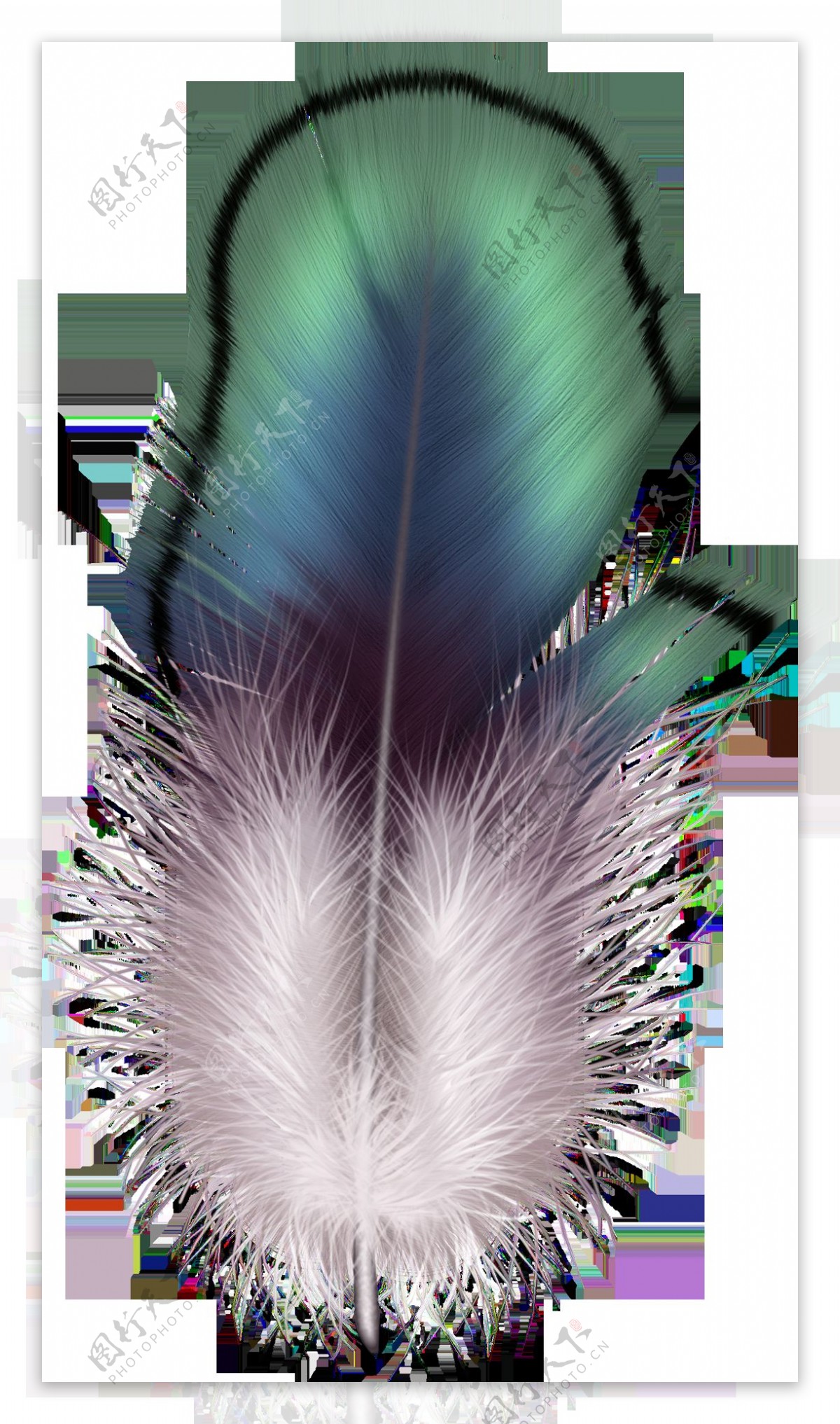 绿色羽毛图片免抠png透明图层素材