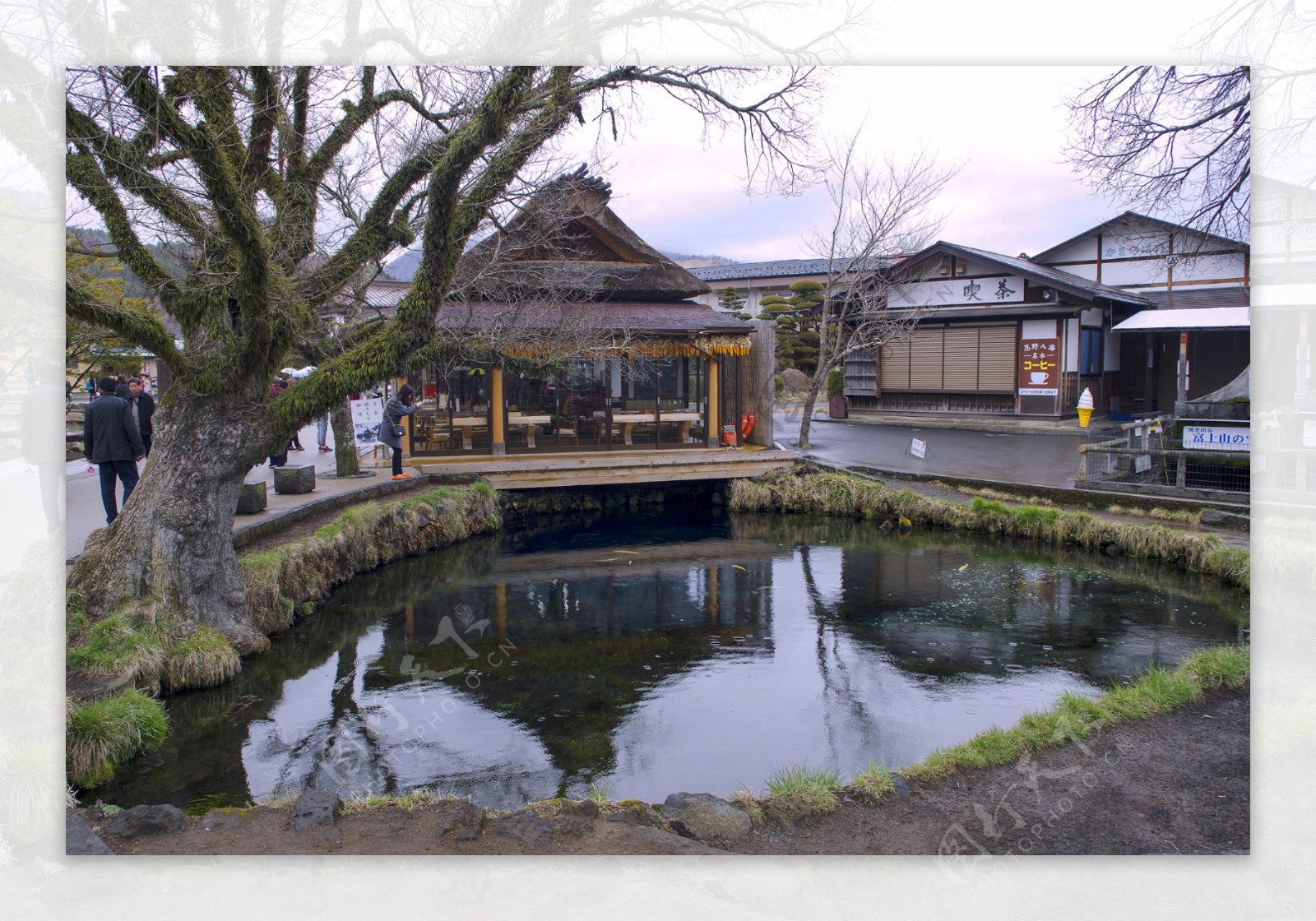 日本忍野八海风景