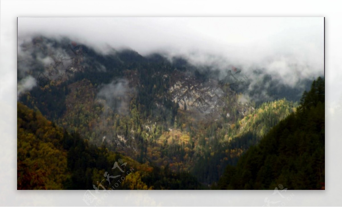 山林雾景视频素材