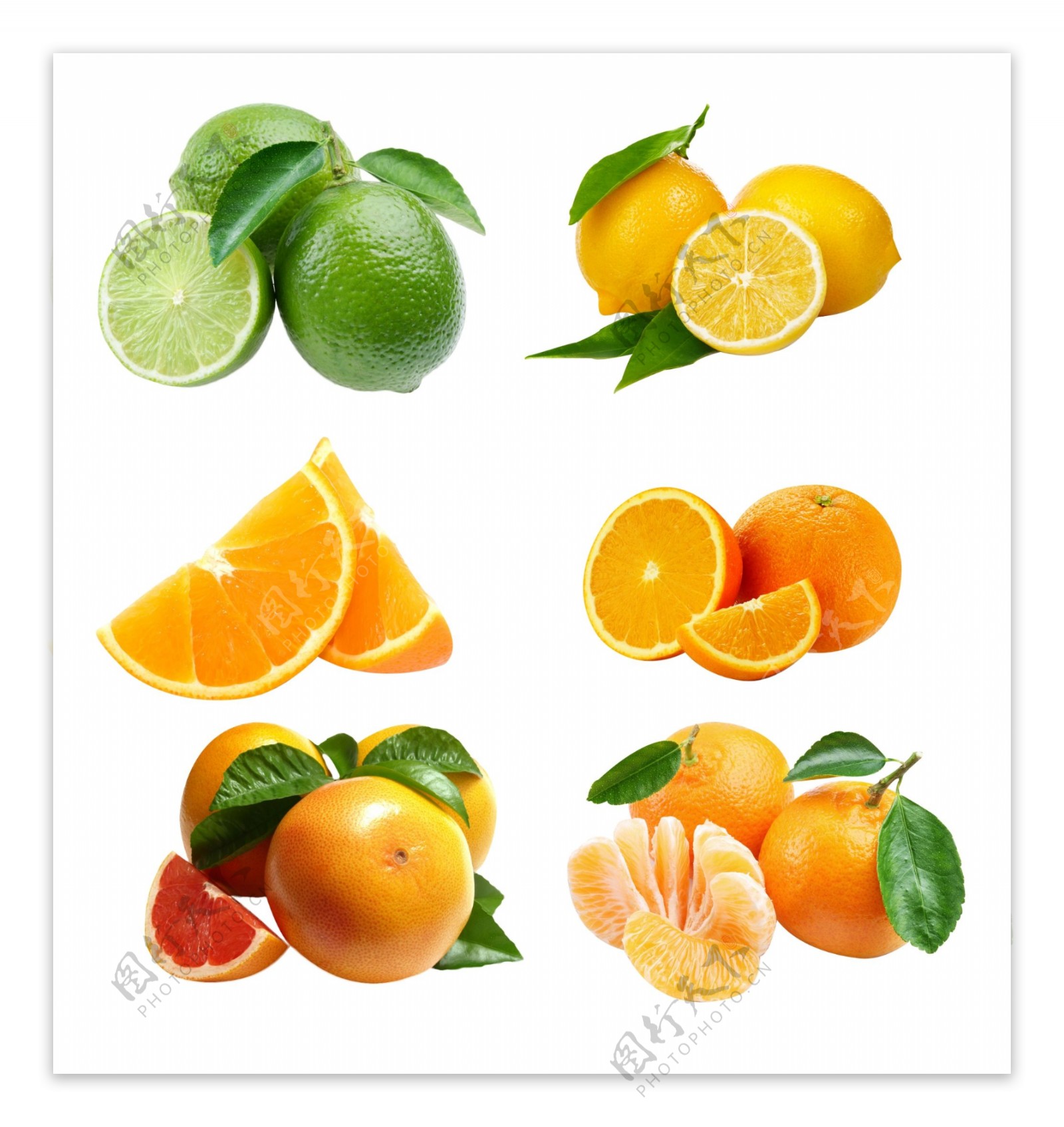 橙子柠檬橘子