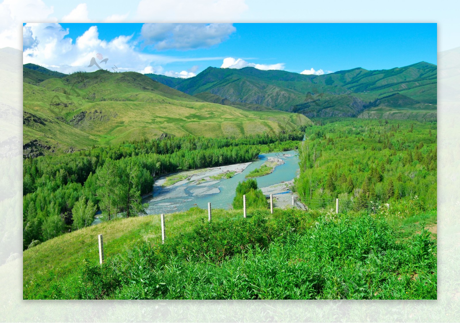 新疆白哈巴风景
