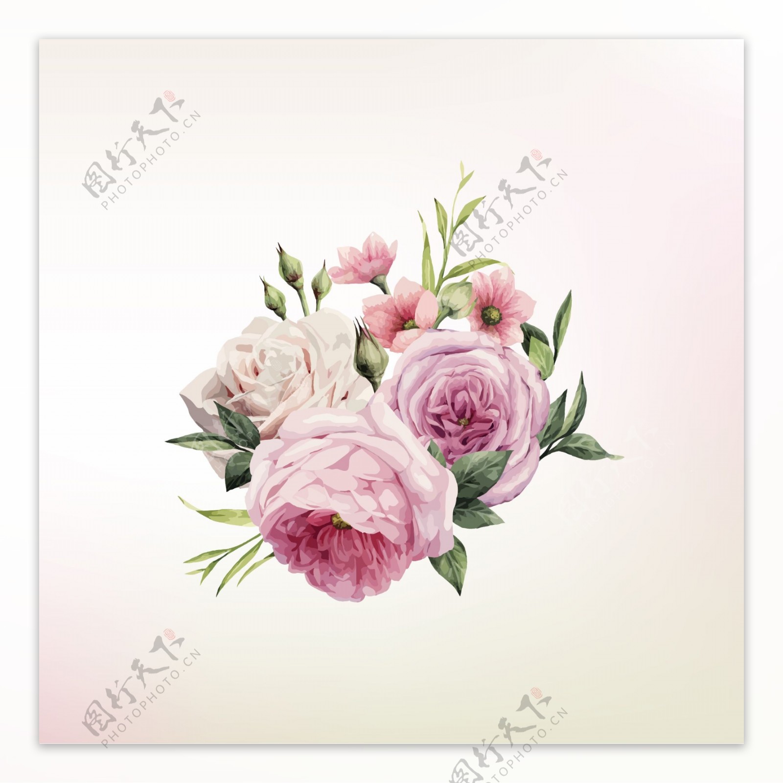 粉色玫瑰花矢量背景装饰免扣设计素材