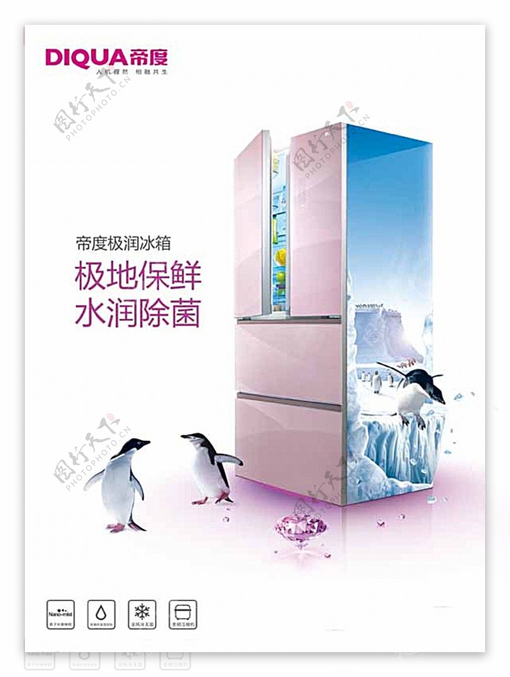 帝度冰箱广告画图片