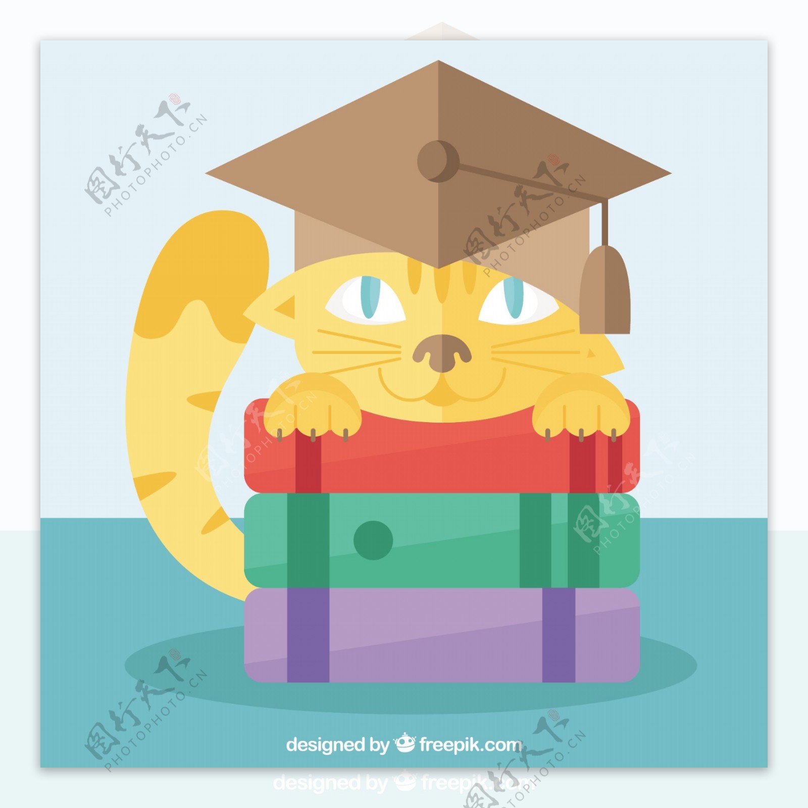 戴毕业帽的猫与书籍背景
