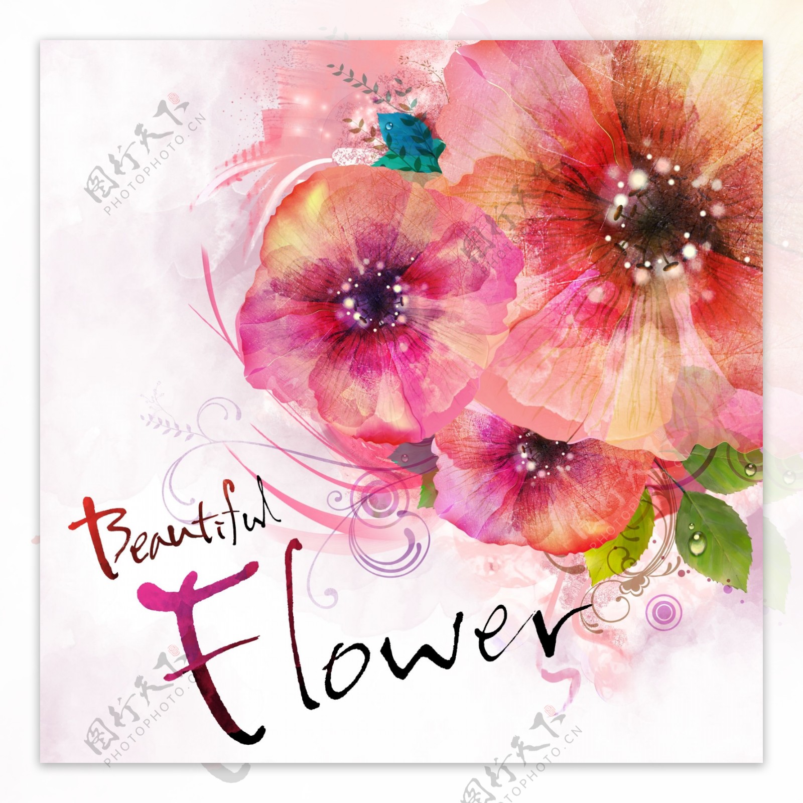 唯美浪漫花朵宣传设计海报