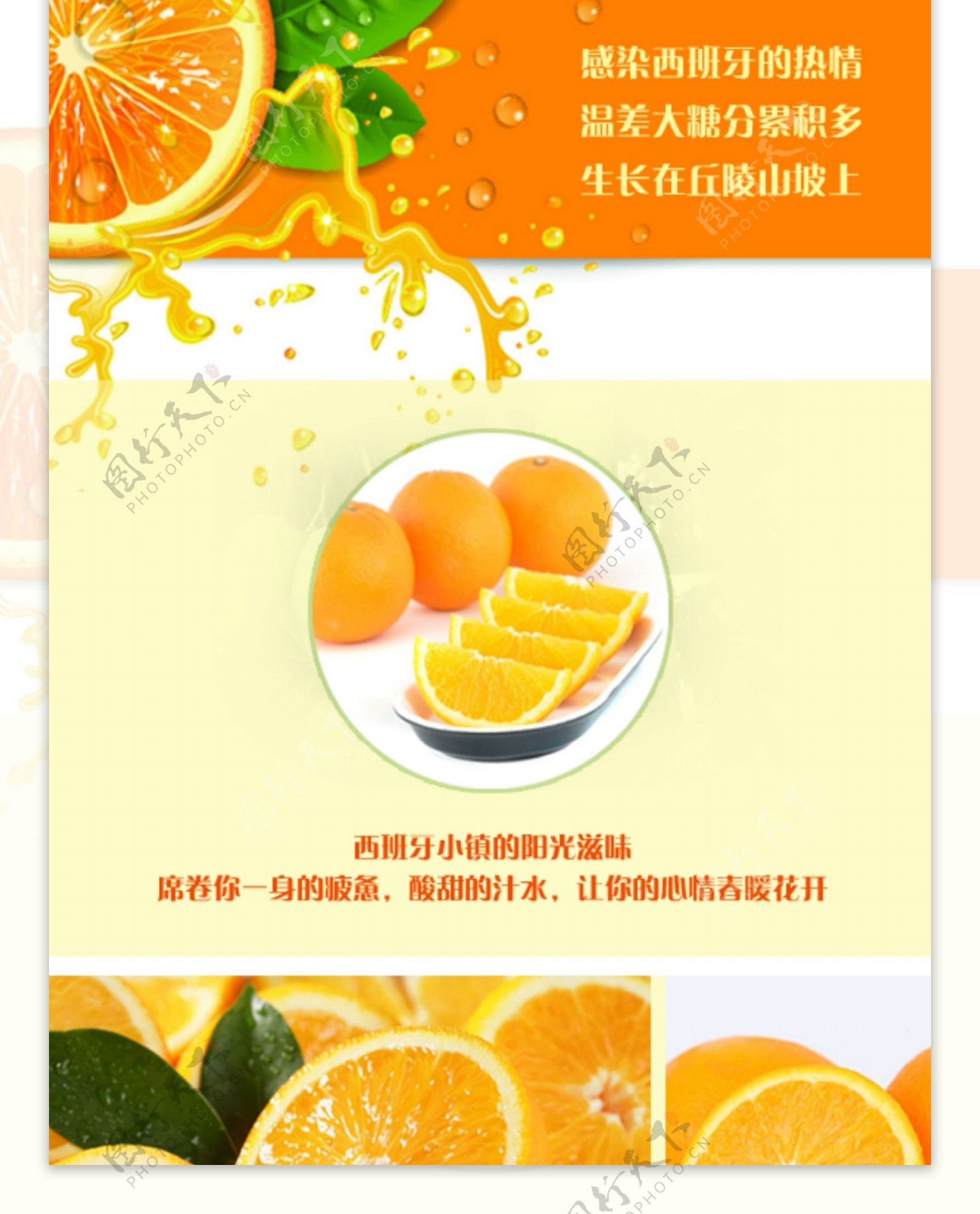 甜橙详情页设计图片