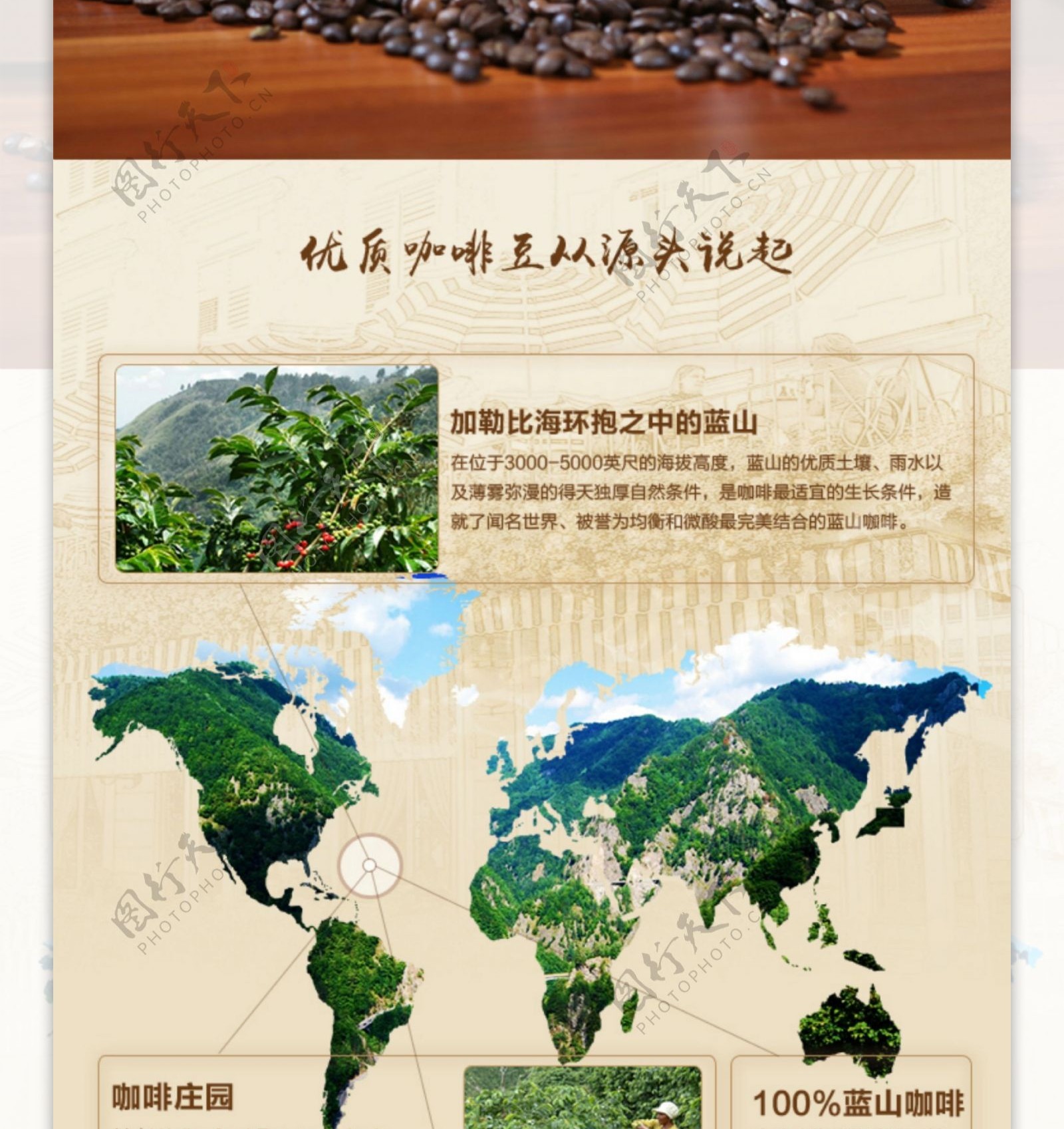 咖啡豆淘宝详情页咖啡