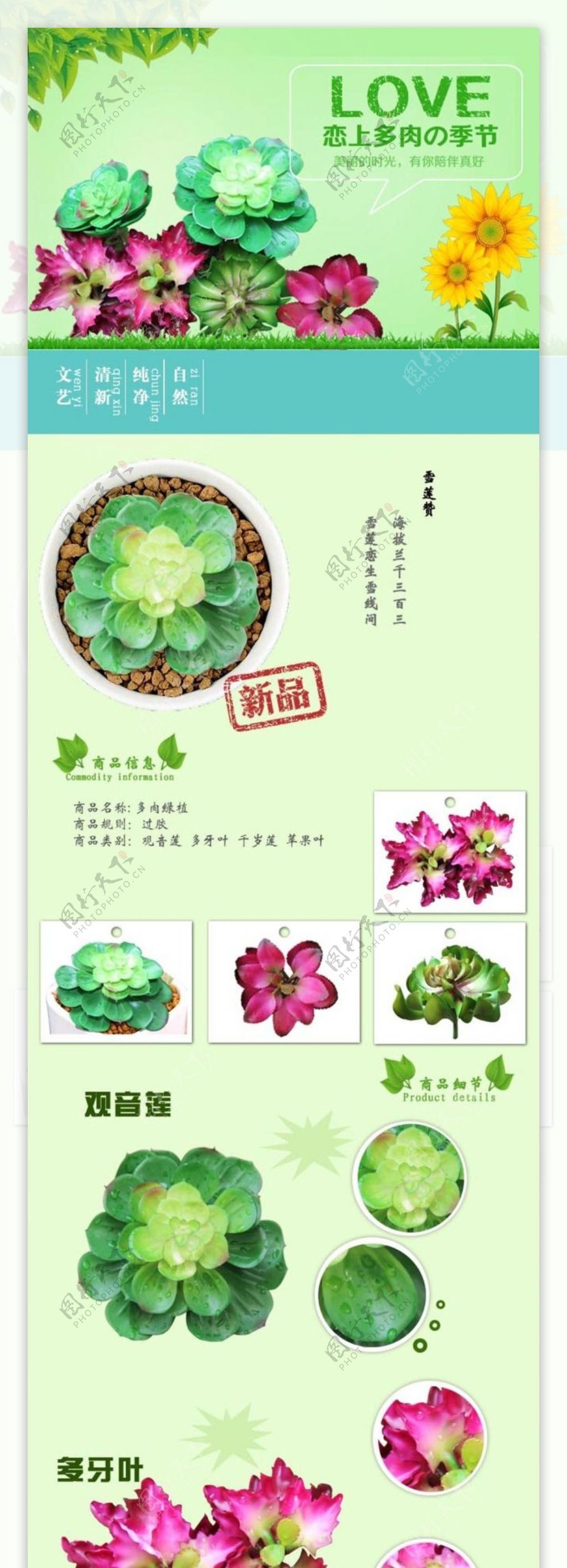 绿色植物详情页图片