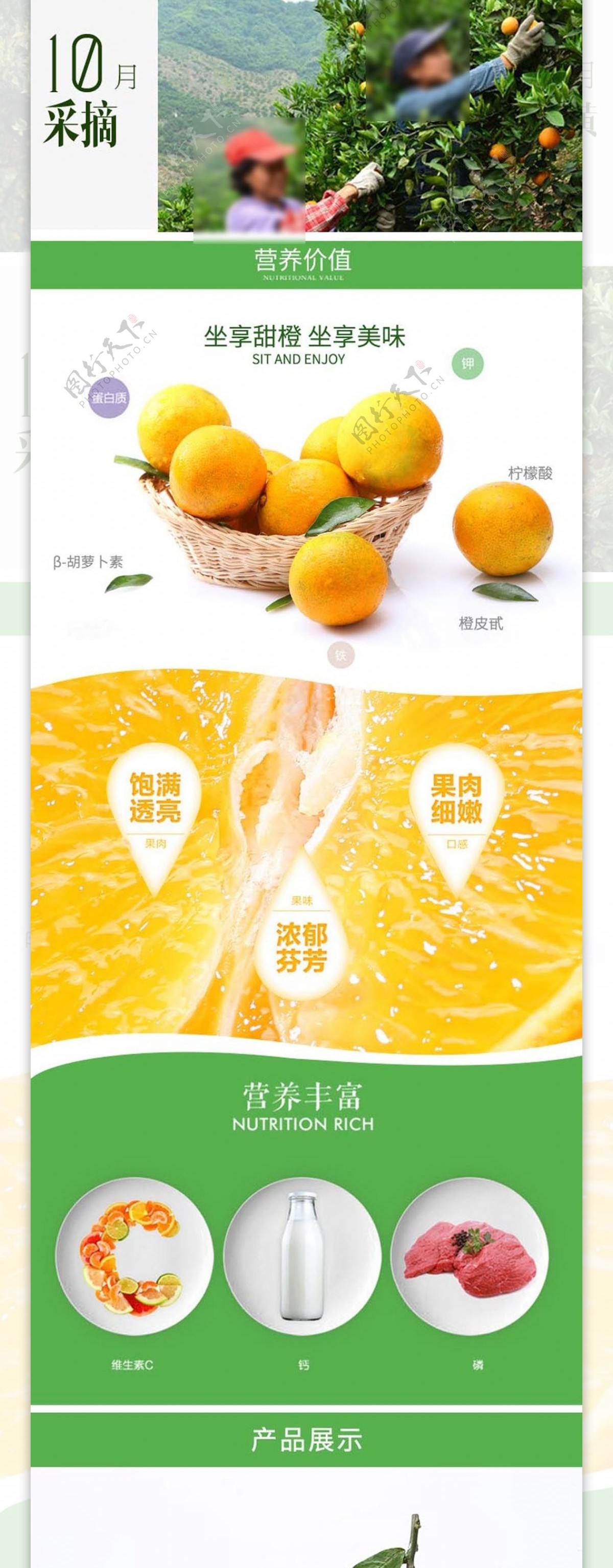 乐山甜橙详情页设计图片