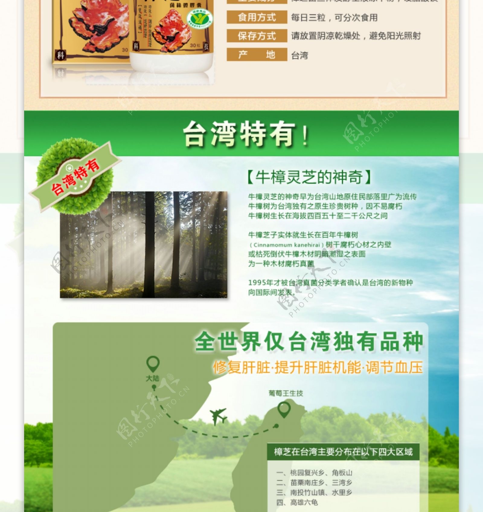 台湾保健食品樟芝王淘宝详情页绿色主题