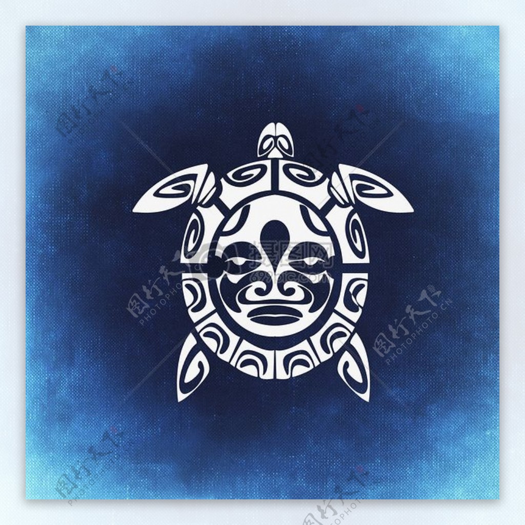 龟抽象美丽背景蓝色