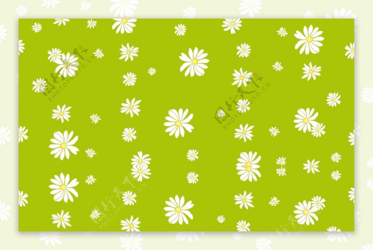 绿色菊花背景绿色壁纸