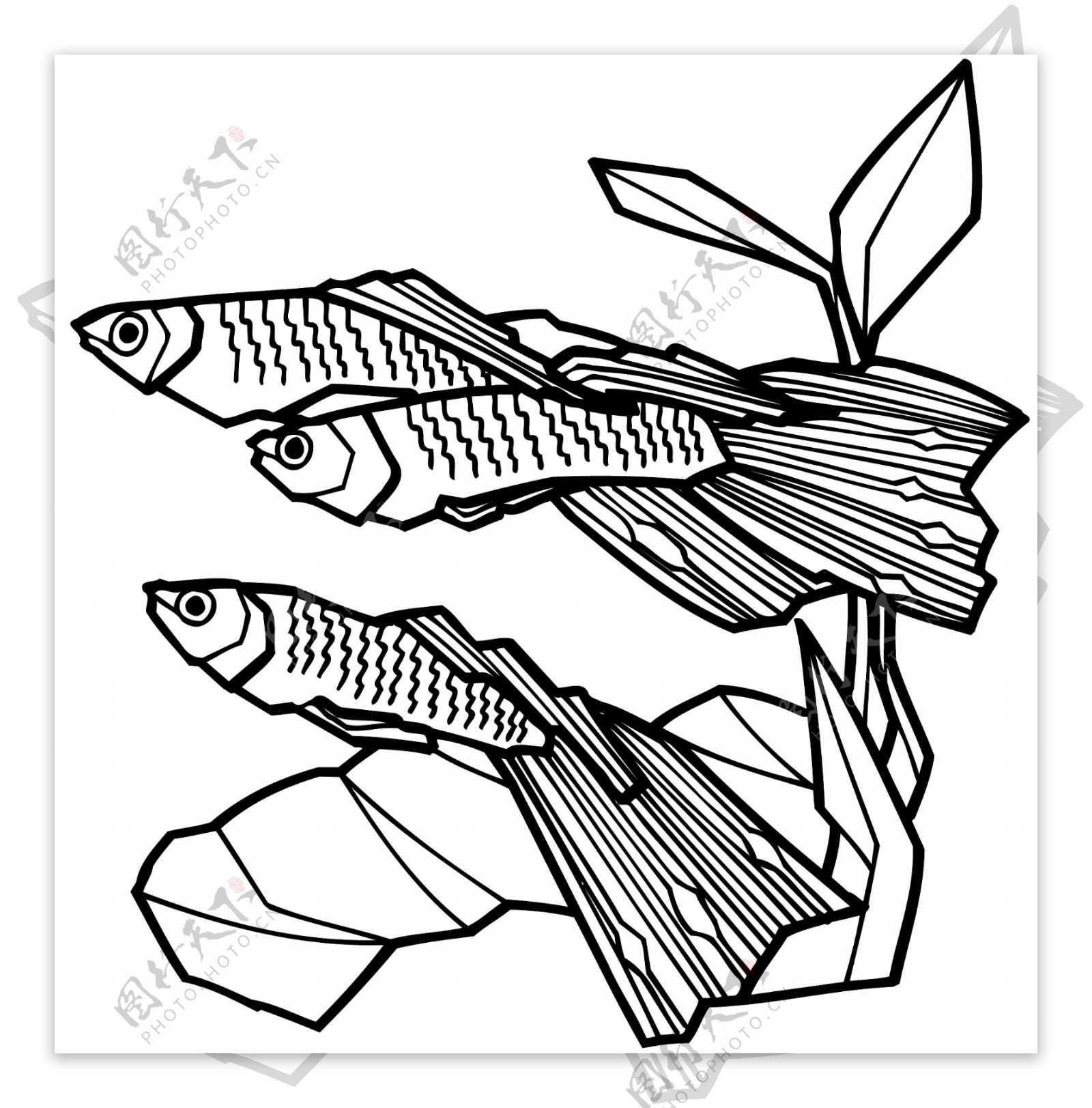 鱼水中动物矢量素材eps格式0068