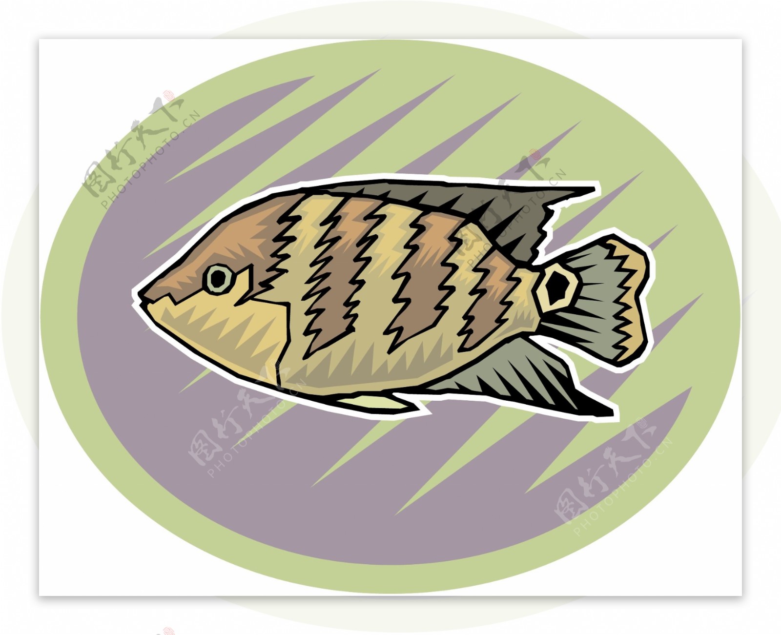 五彩小鱼水生动物矢量素材EPS格式0533
