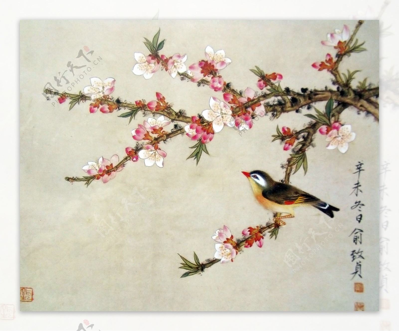 水墨桃花鸟类绘画图片