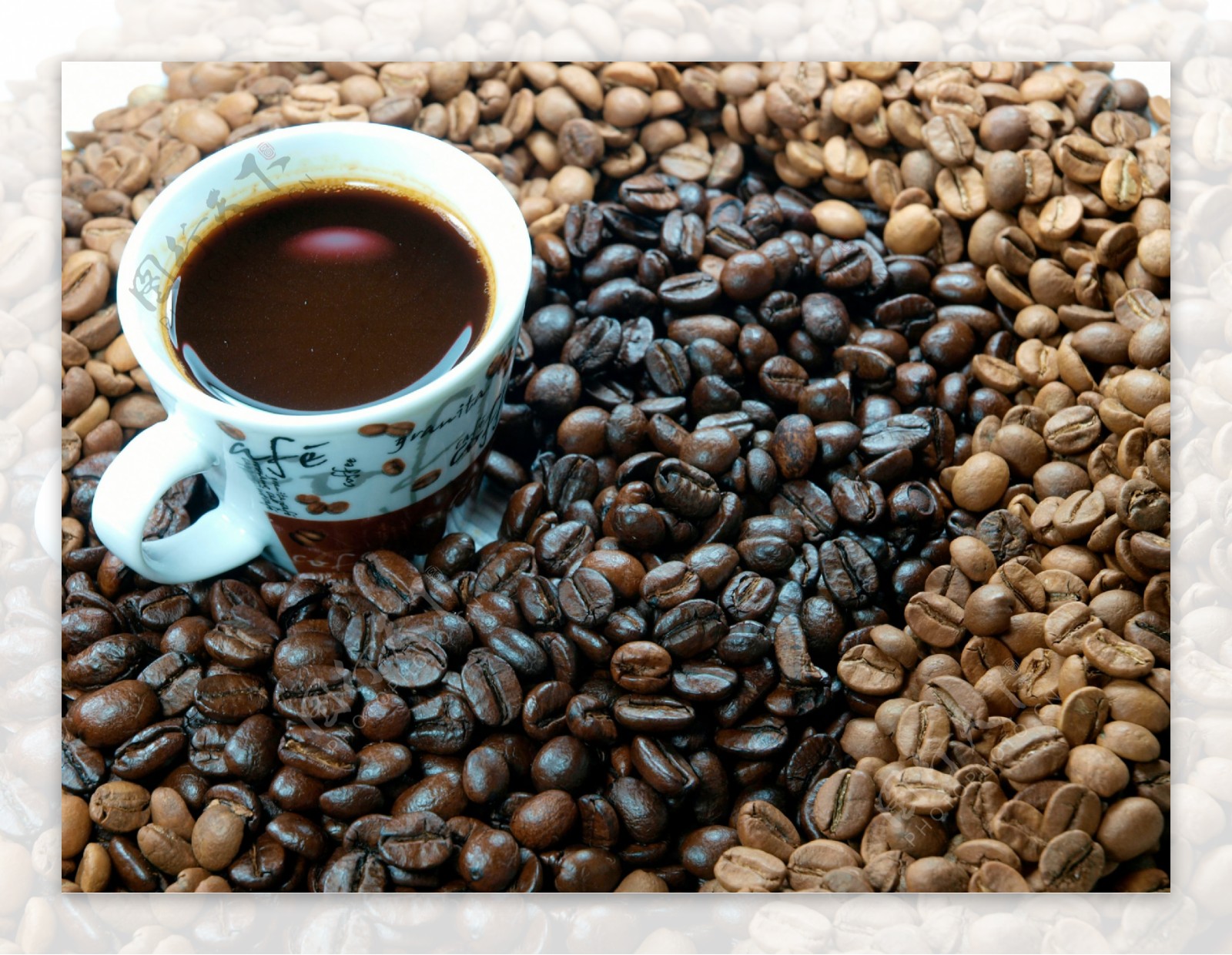 咖啡豆与杯子素材图片