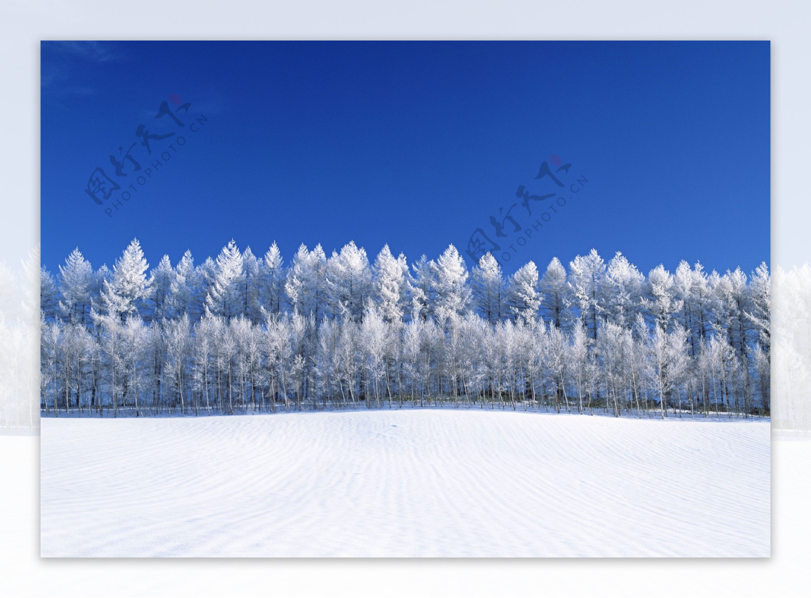 美丽雪景摄影图片