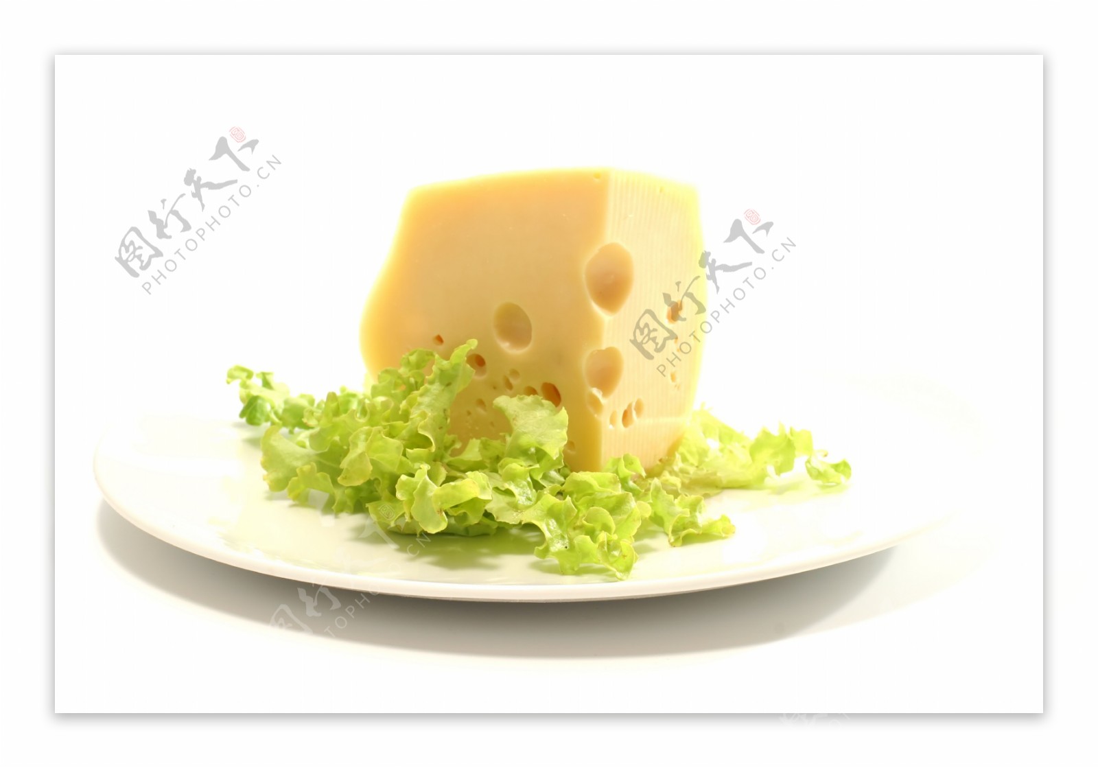 奶酪59图片
