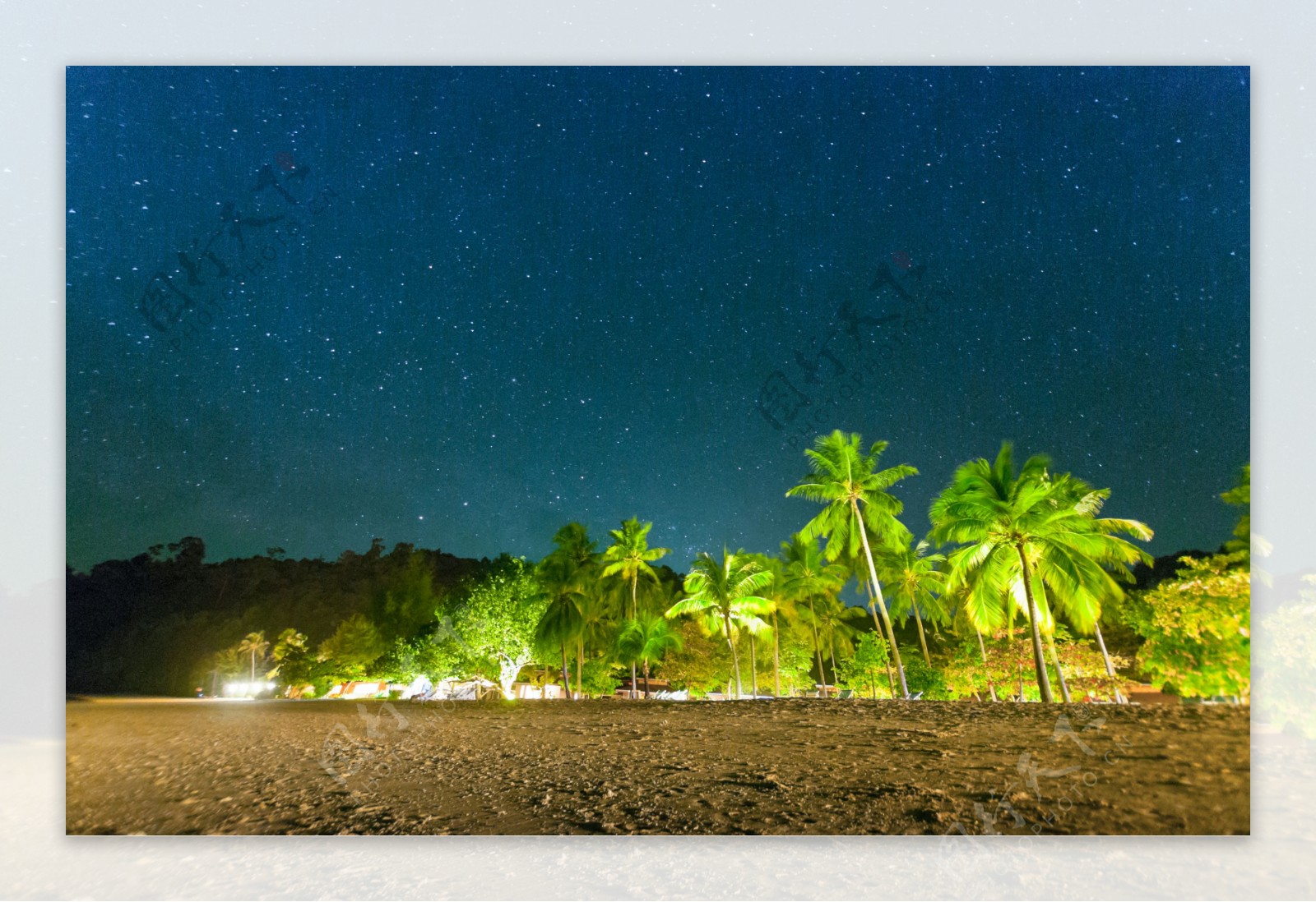 夜晚美丽的椰子树图片