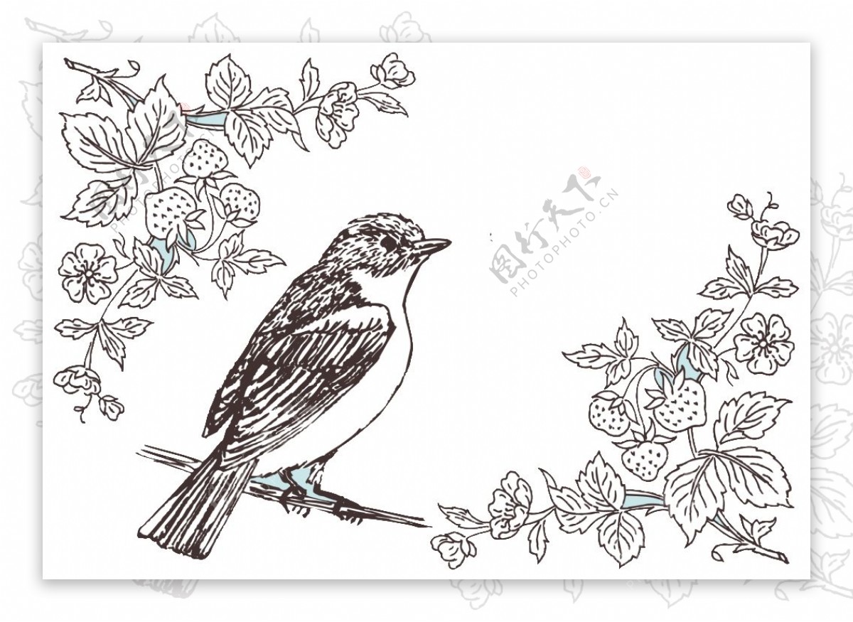 素描花鸟单色图素材