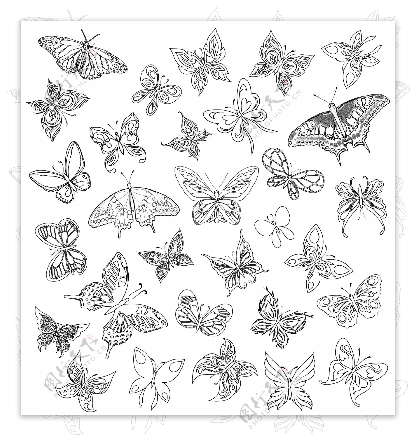 素描蝴蝶图案
