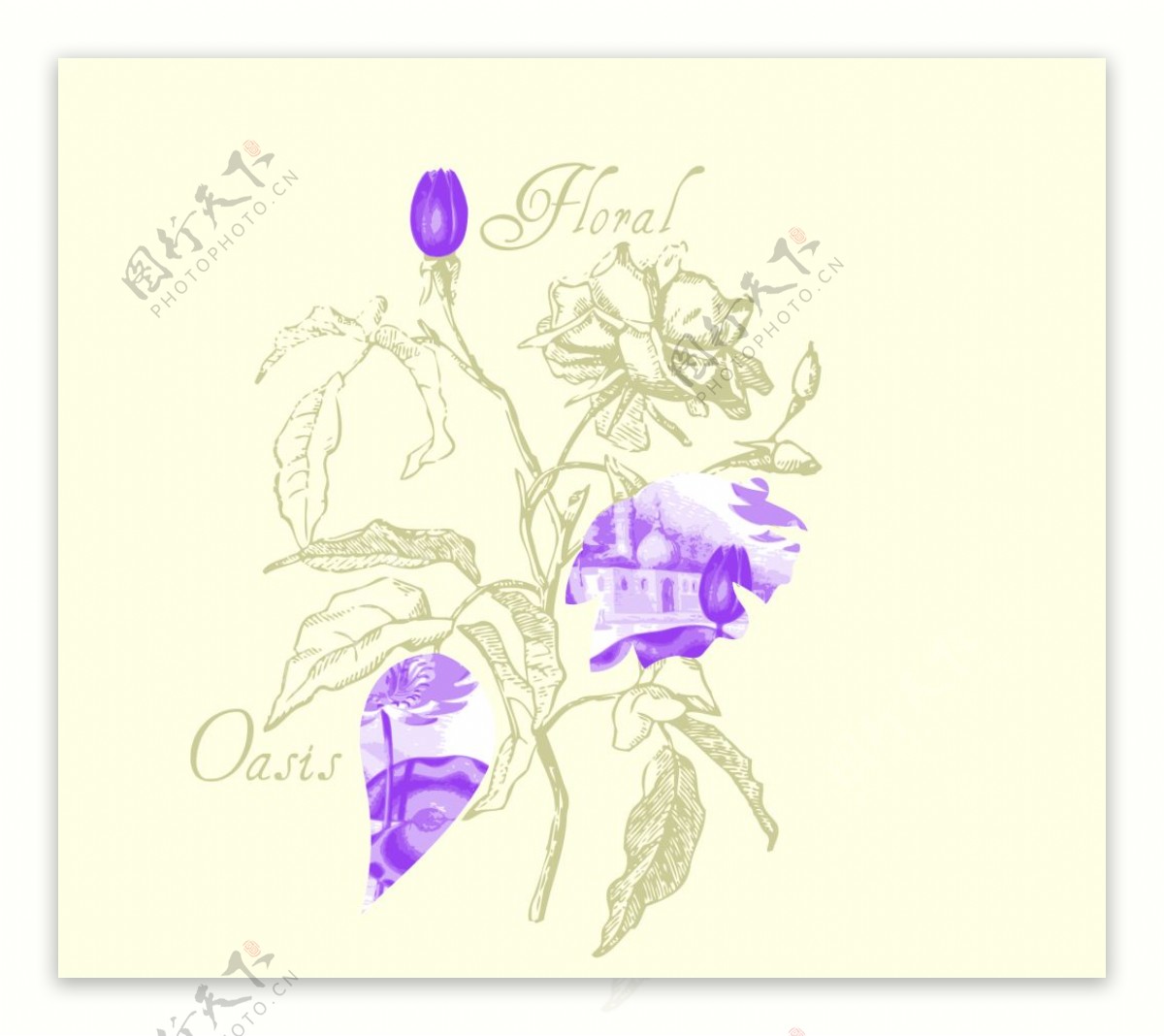 紫色花卉背景图案