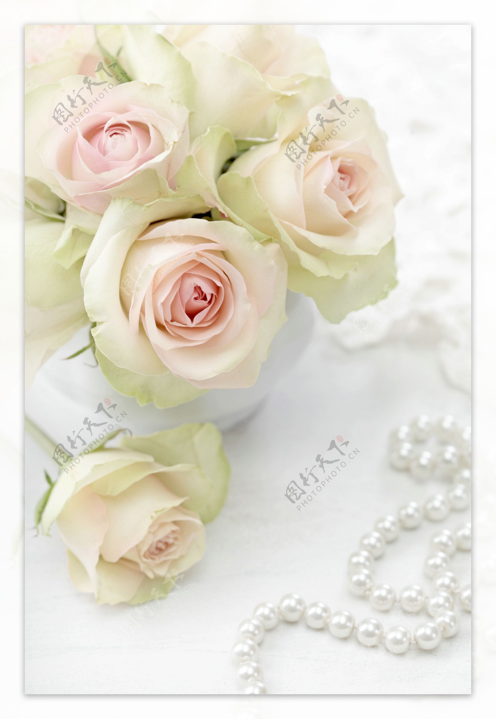 玫瑰花与珍珠项链图片