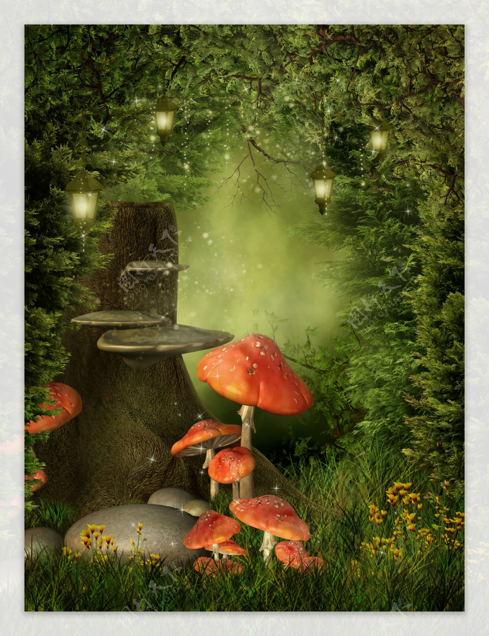 森林里树下的蘑菇图片