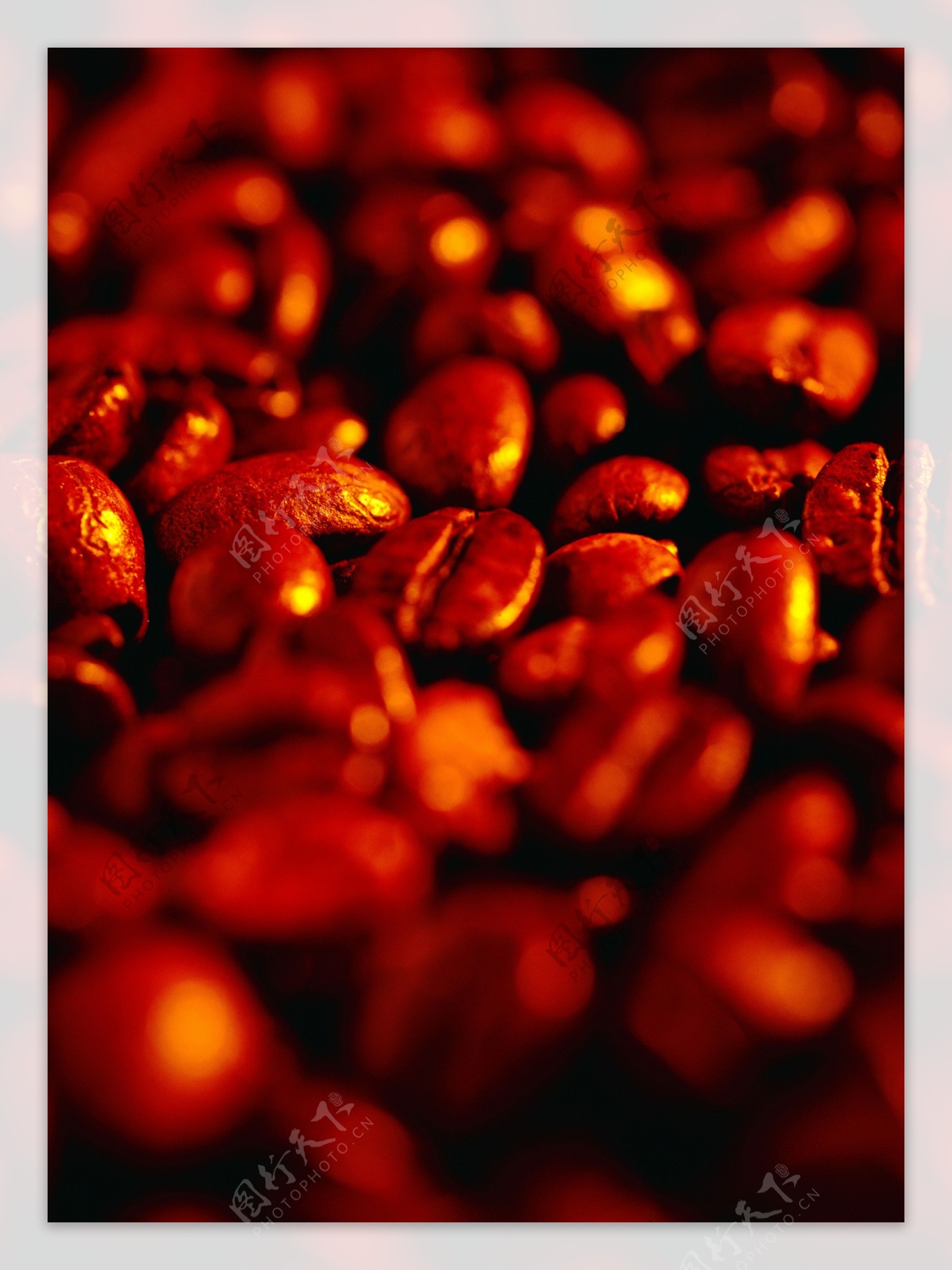 一片褐色咖啡豆特写素材图片