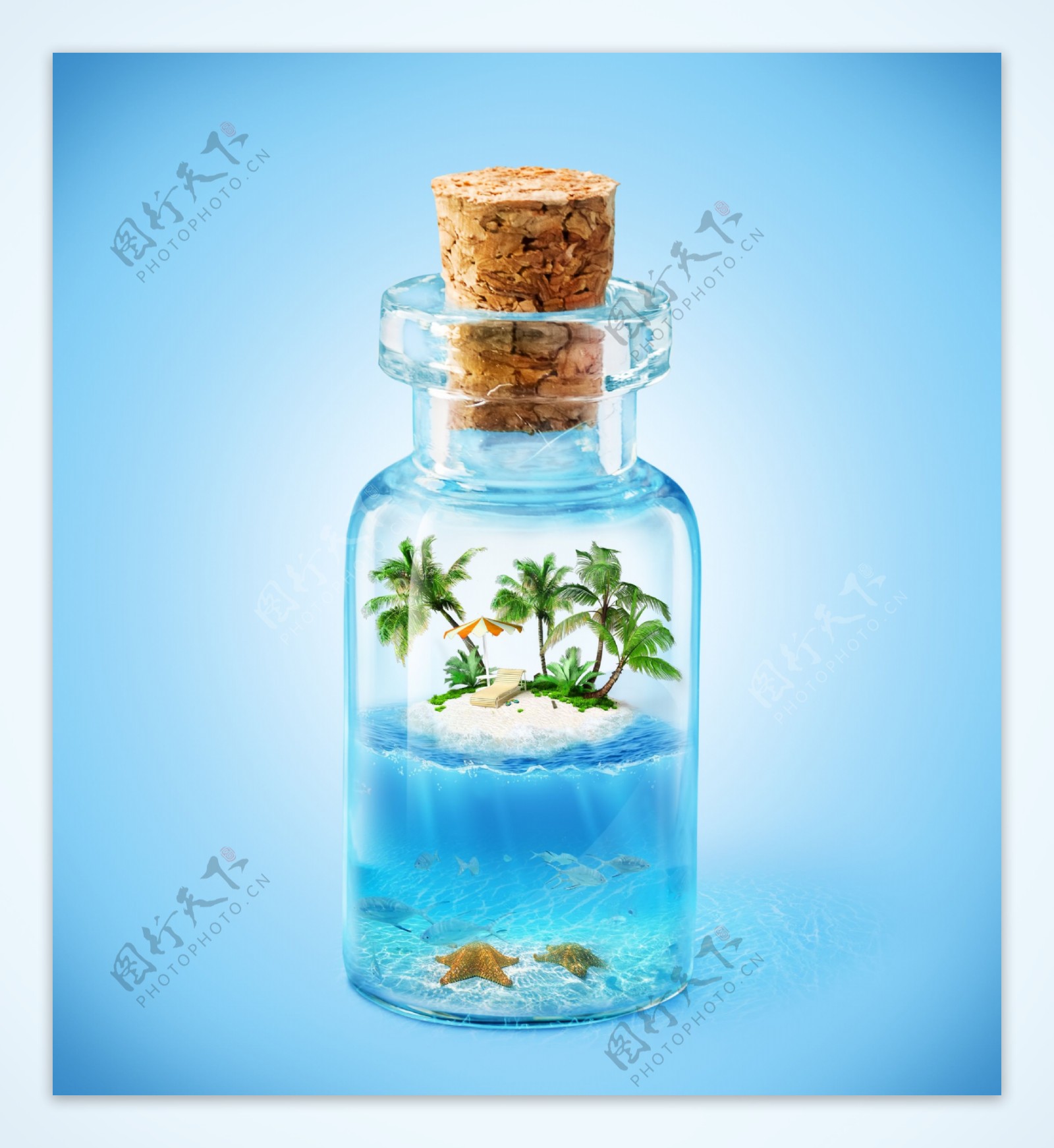 玻璃瓶里的椰子树和海星图片