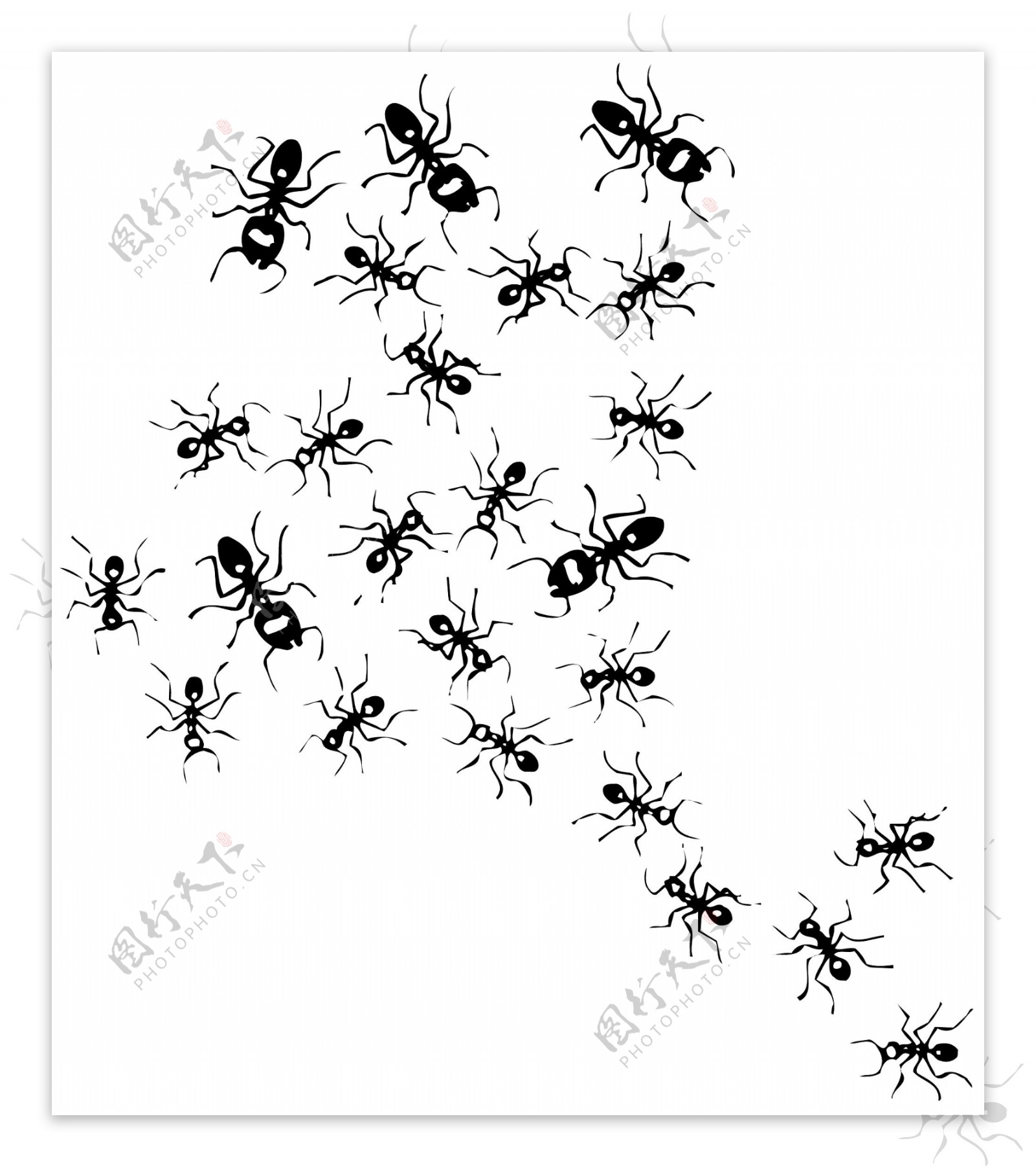甲虫昆虫矢量素材EPS格式0079