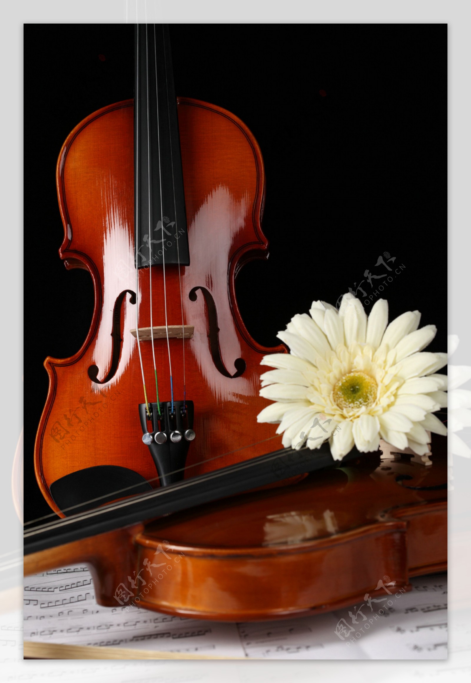 小提琴素材图片