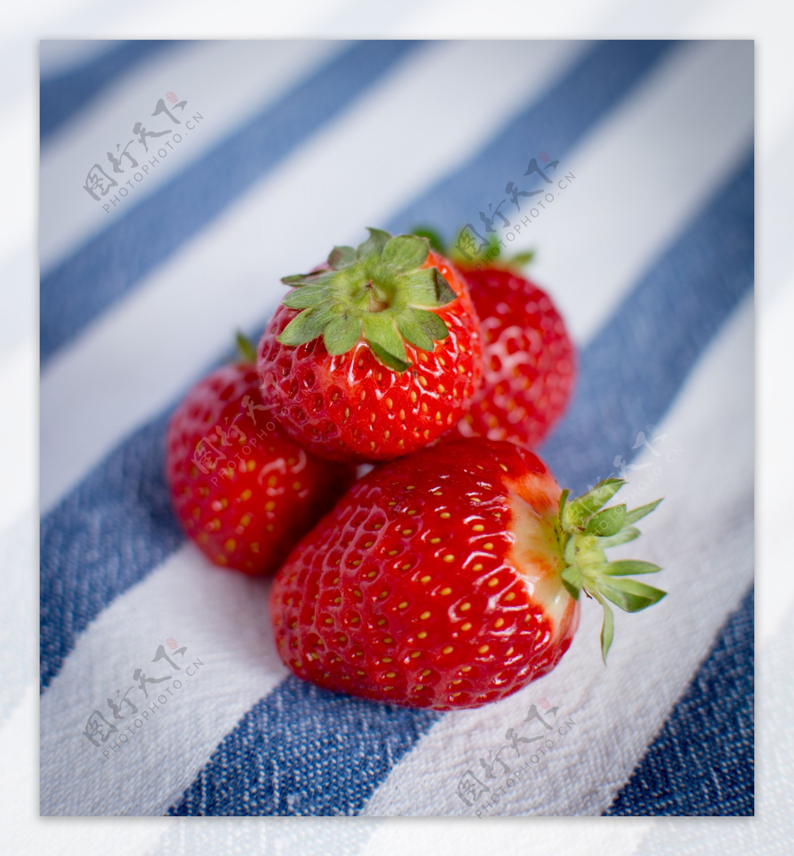 鲜红可爱草莓图片素材