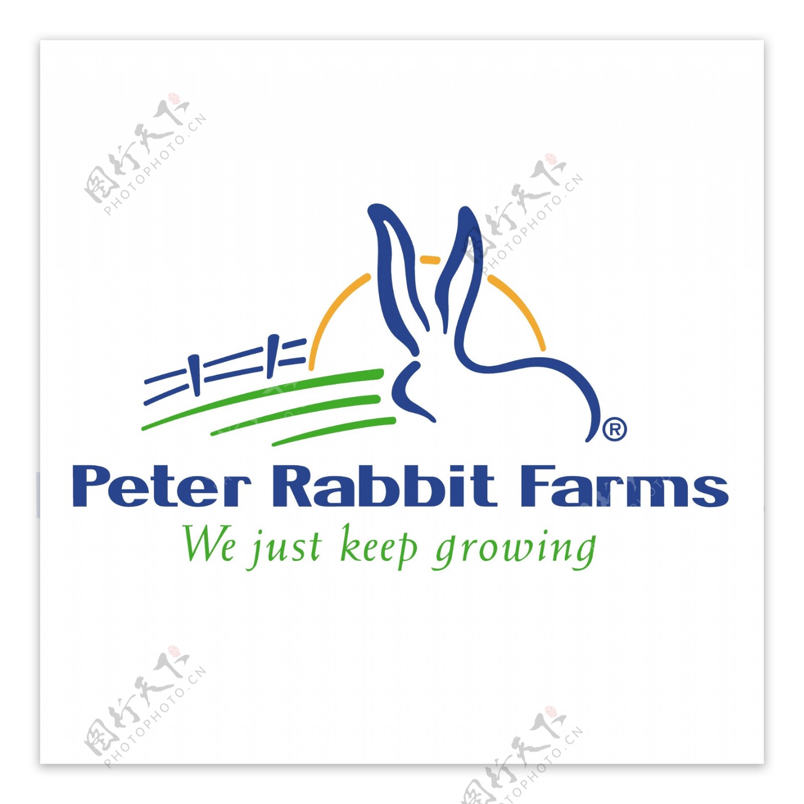 彼得兔子养殖