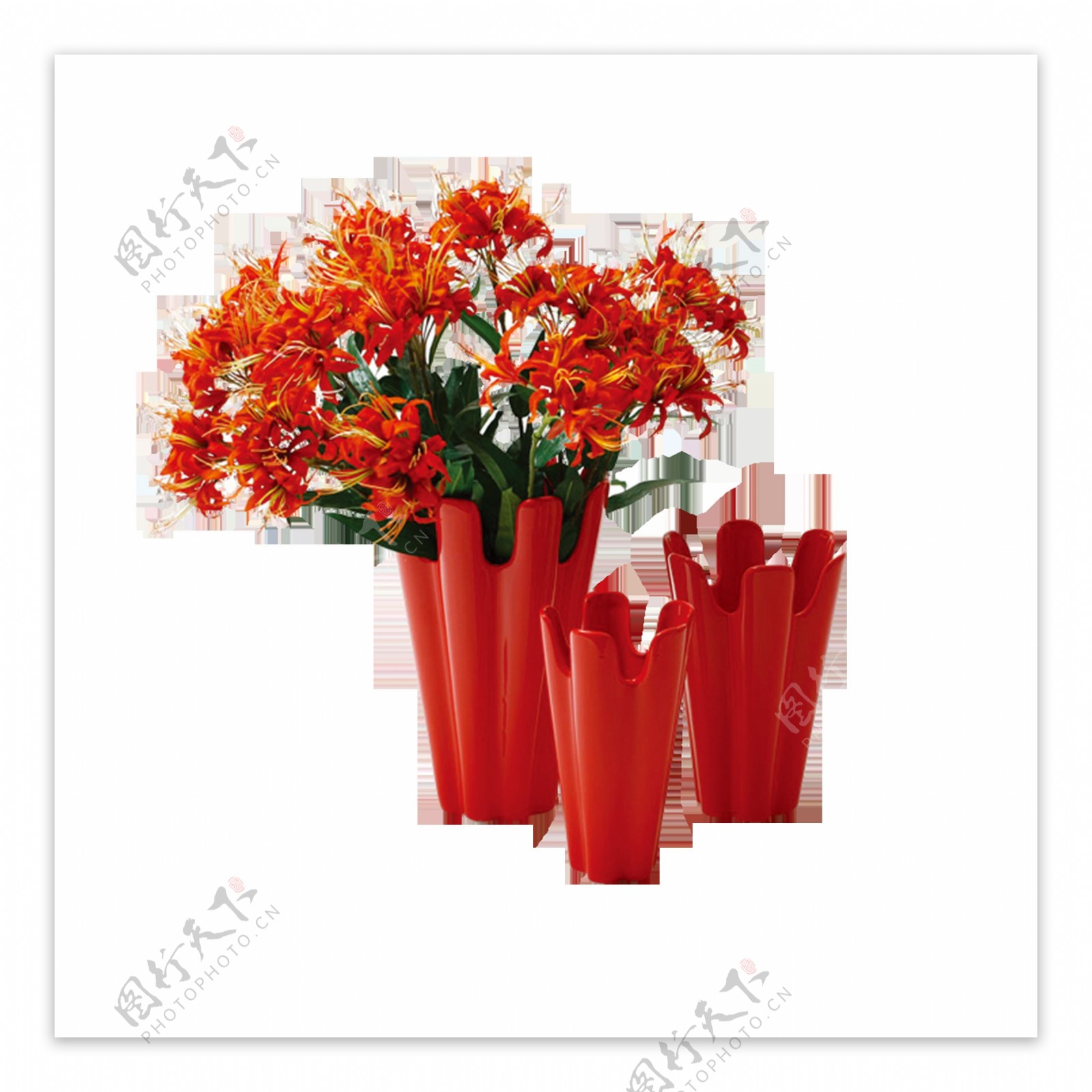 花朵高清红色高清素材