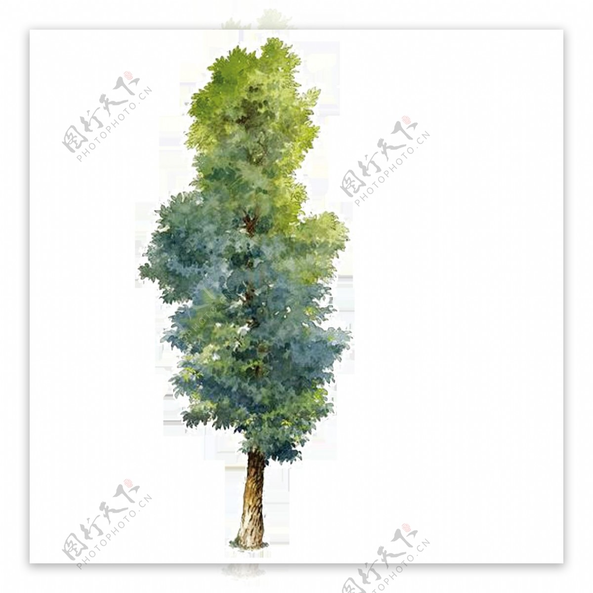 唯美高清手绘油画树木素材二二