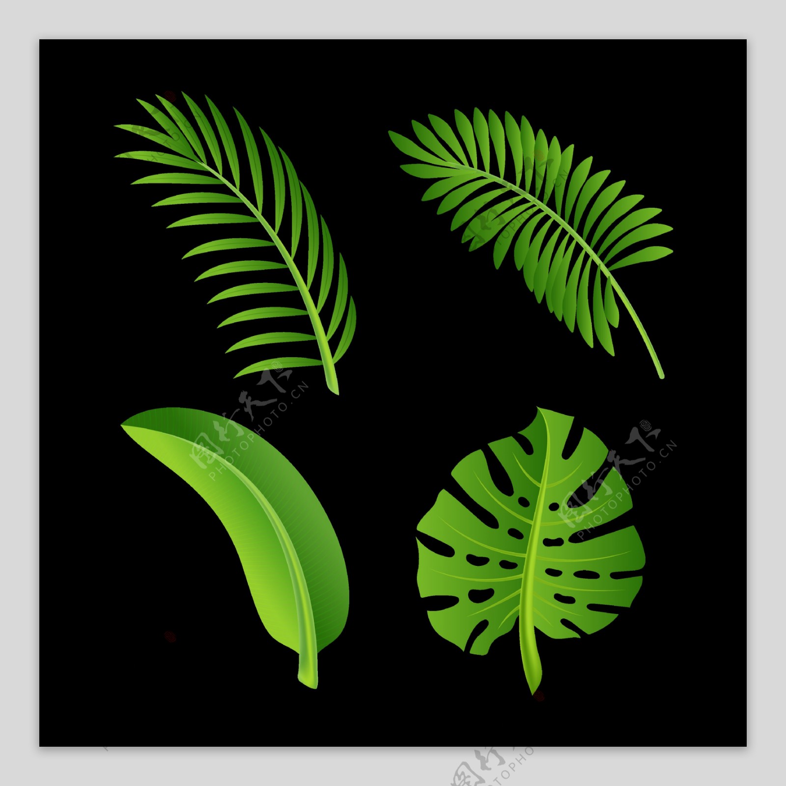 手绘绿色棕榈叶子免抠png透明图层素材