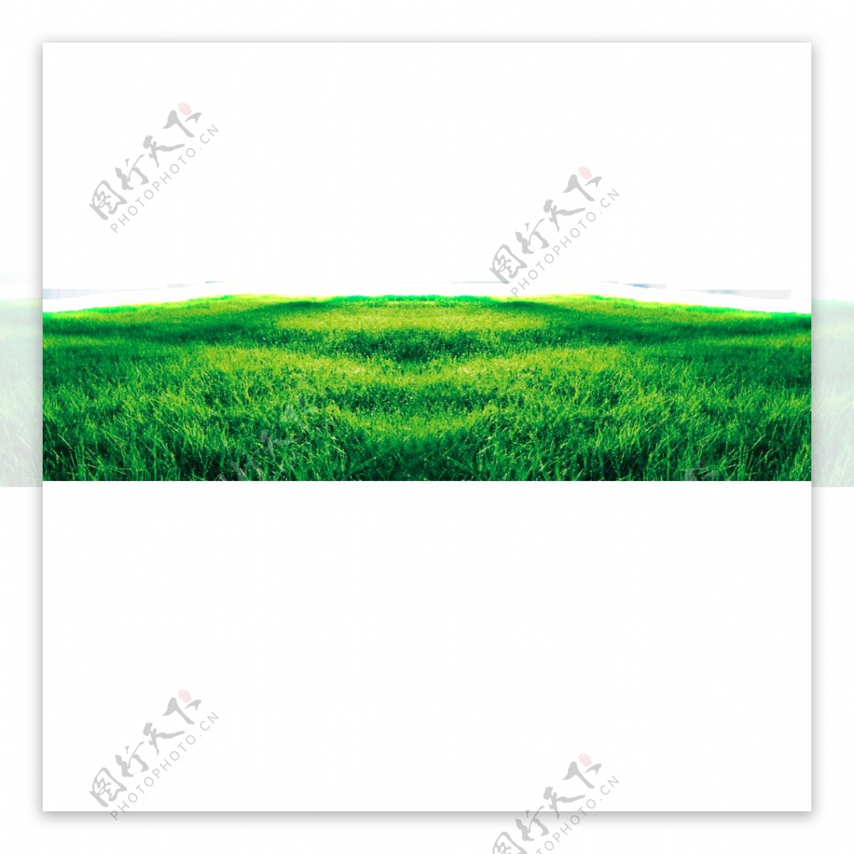 绿色草原图