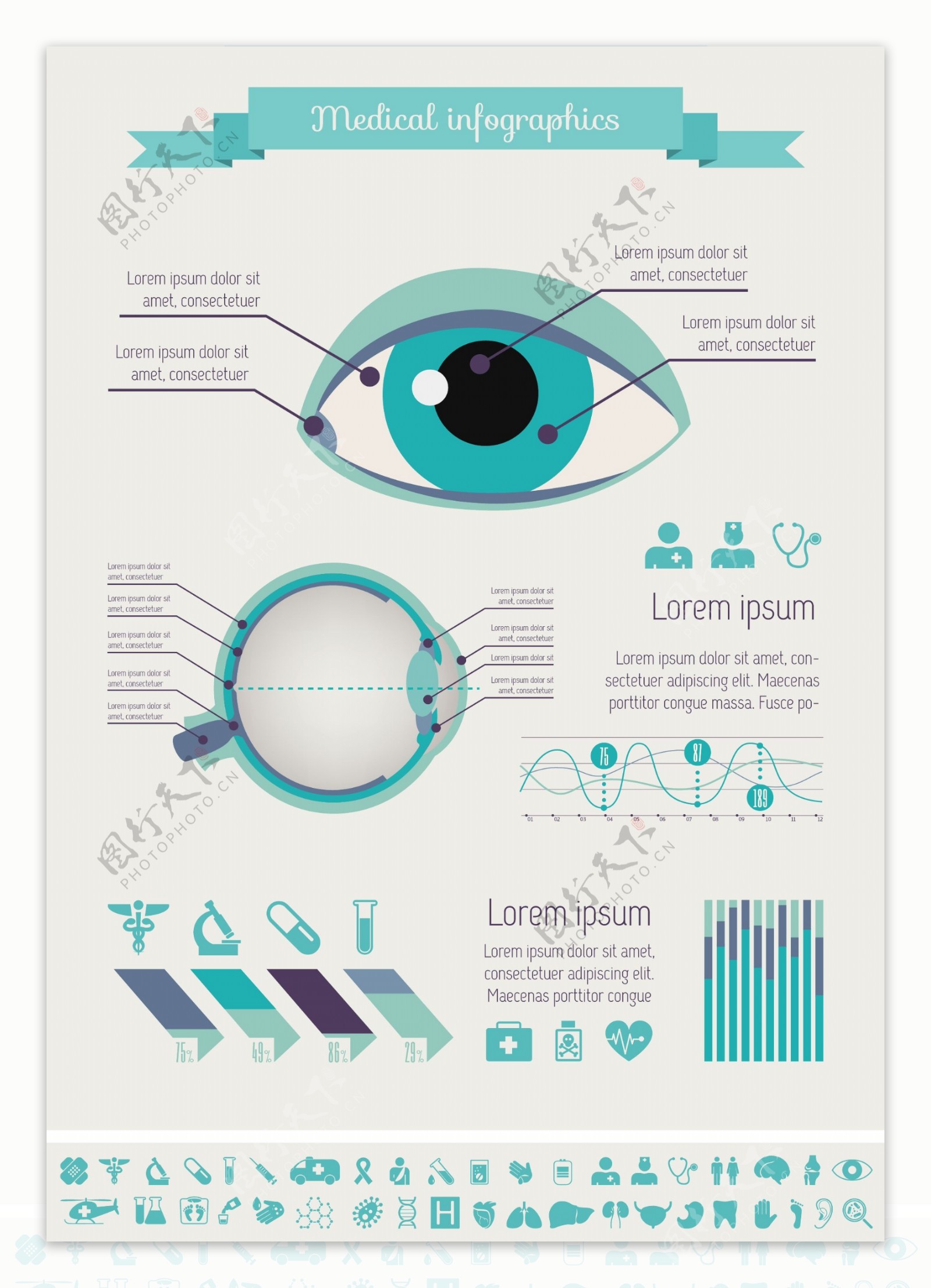 眼睛医疗图表