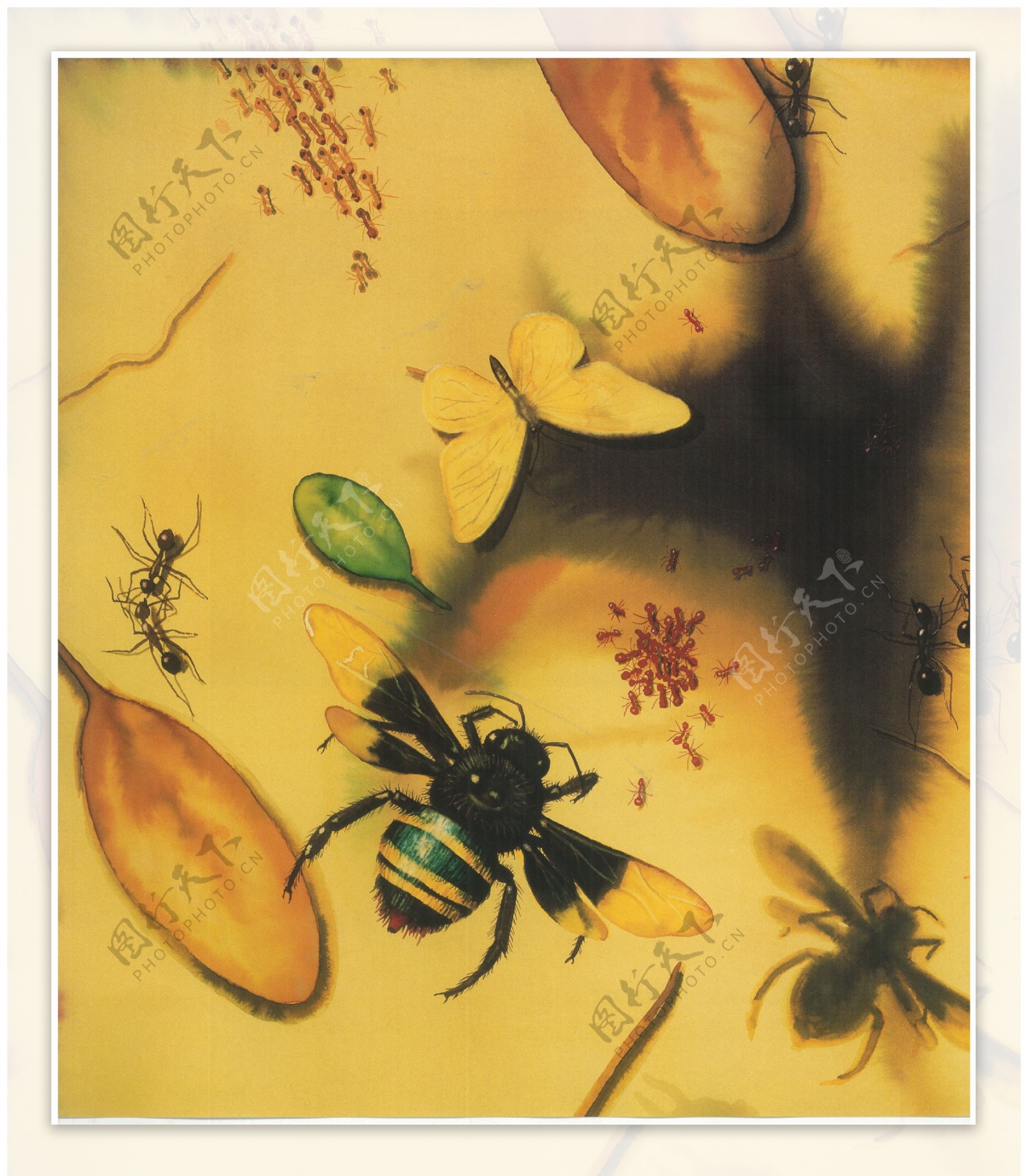手绘蜜蜂蚂蚁图片