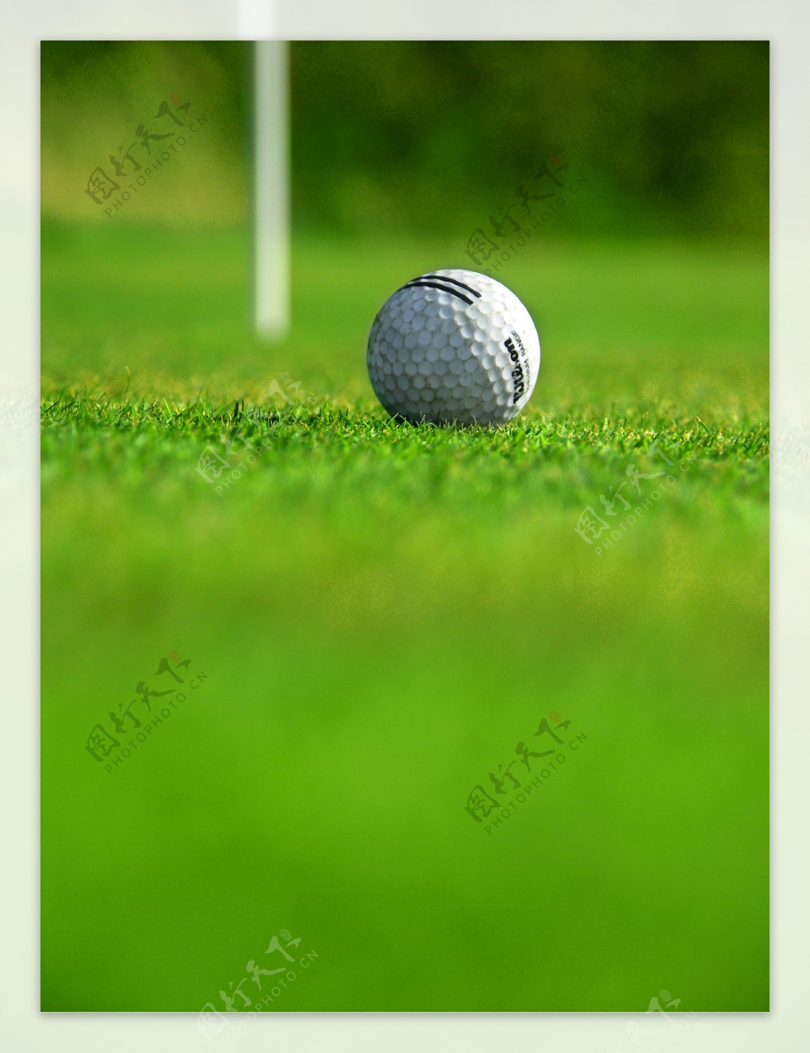 高尔夫运动高清图片